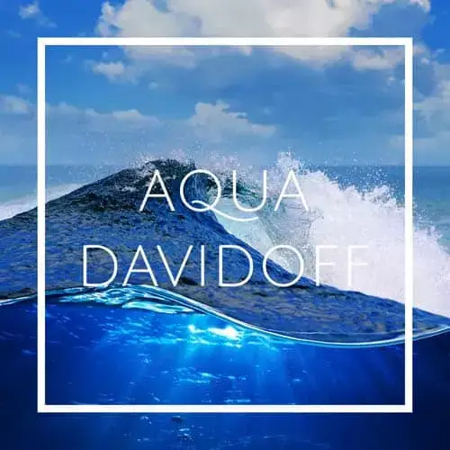 اسانس خوشبو کننده هوا آکوا دیویدوف (Aqua Davidoff)