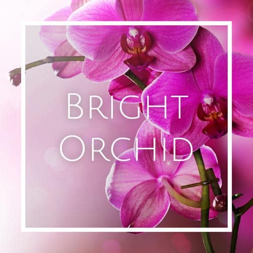 اسانس خوشبو کننده هوا ارکیده (Bright Orchid)