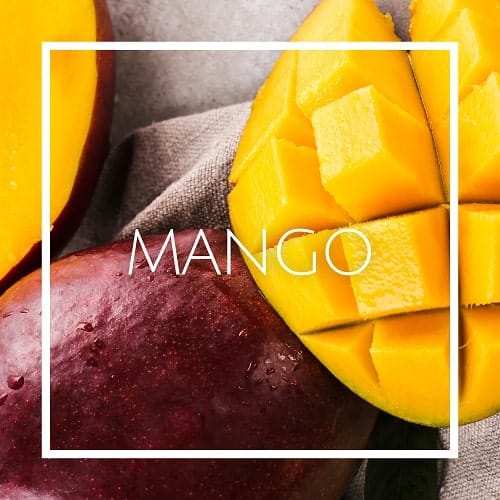 قیمت اسانس خوشبو کننده هوا انبه (mango)