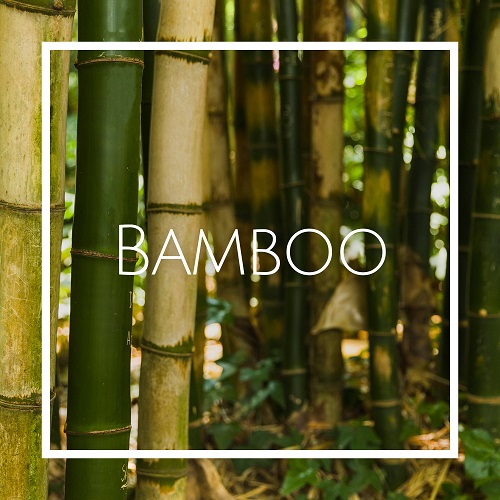 خرید اسانس خوشبو کننده هوا بامبو (Bamboo)