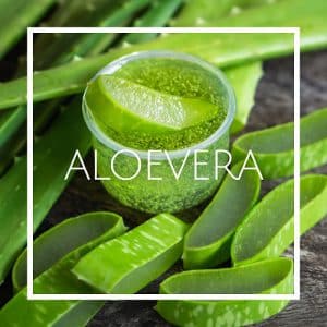 اسانس خوشبو کننده هوا Aloe Vera
