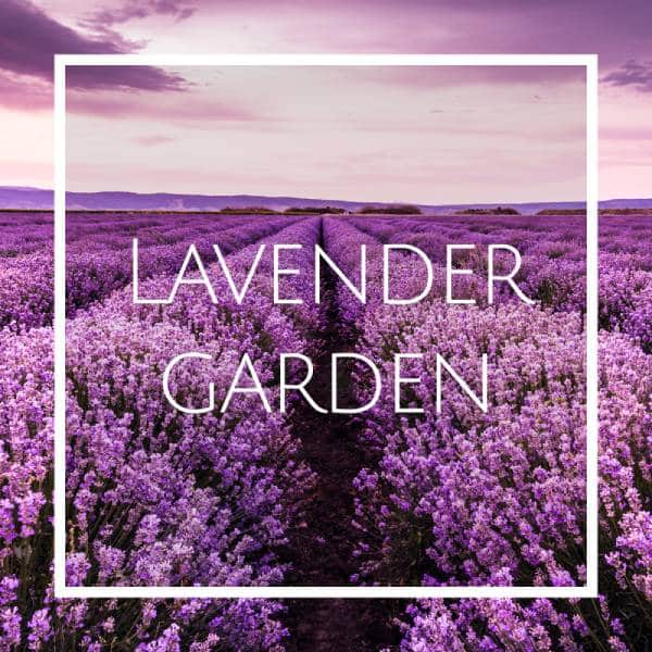 قیمت اسانس خوشبو کننده هوا لوندر گاردن (Lavender Garden)