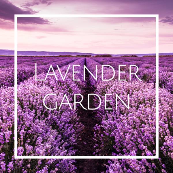 خرید اسانس خوشبو کننده هوا لوندر گاردن (Lavender Garden)