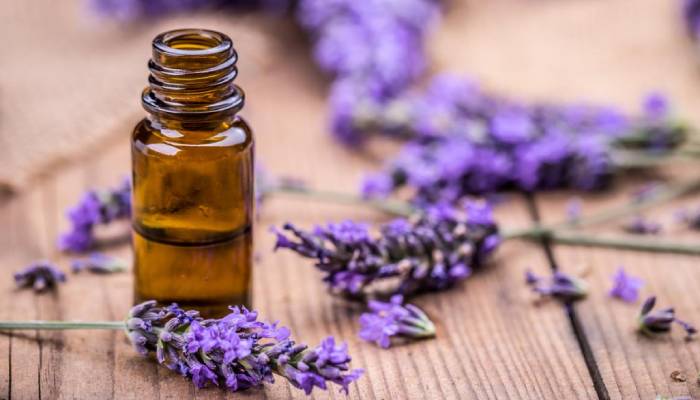 این گیاه ویژگی های فراوانی داشته، برای مثال بر ایجاد آرامش کاهش ضربان قلب و فشار خون تاثیر دارد