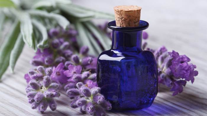 ویژگی های اسانس لاوندر