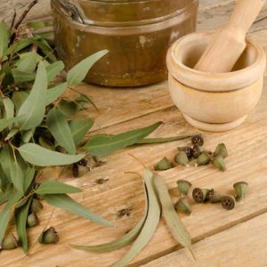 خواص ضد عفونی کنندگی رایحه اکالیپتوس