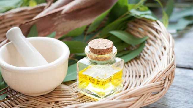 فواید بکارگیری رایحه اکالیپتوس در دستگاه خوشبوکننده اتوماتیک