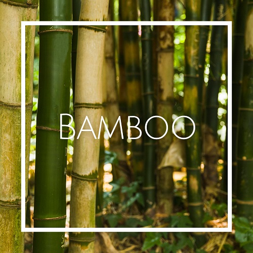 قیمت اسانس خوشبو کننده هوا بامبو (Bamboo)