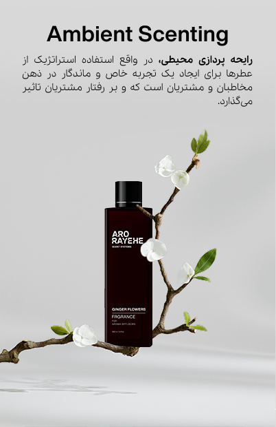 رایحه پردازی محیطی