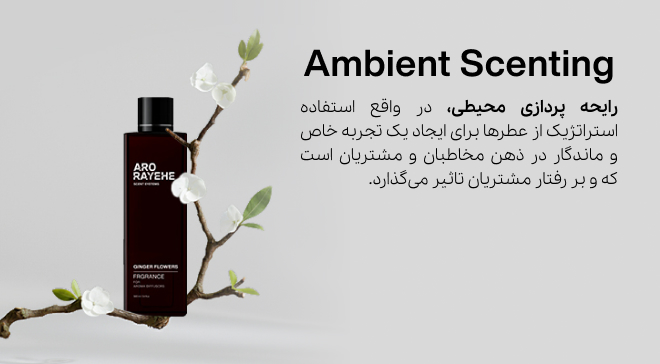 رایحه پردازی محیطی